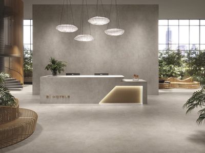 Trammel Taupe Matt R10 PTV36+