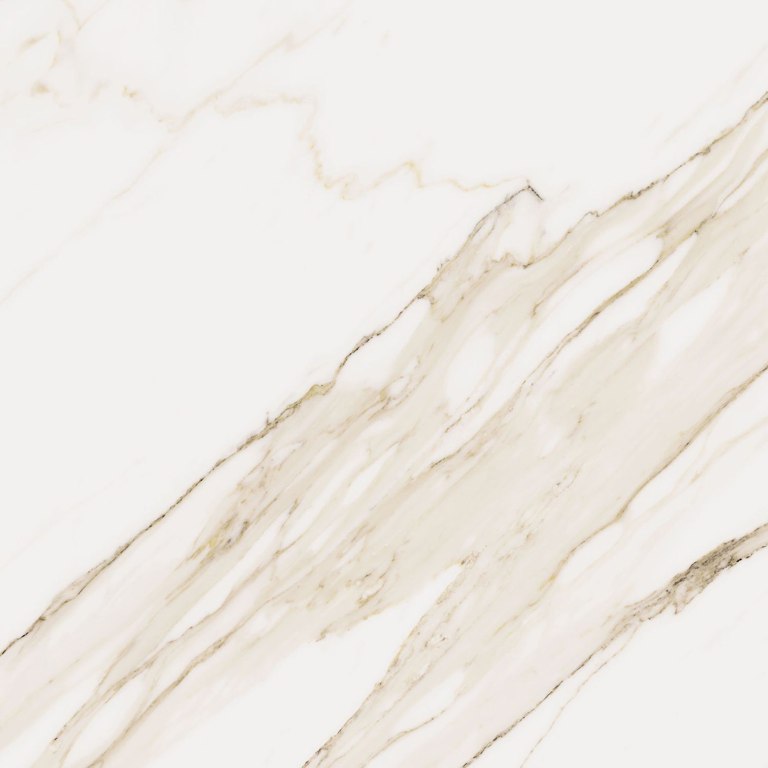 Bohemia Calacatta Polished
