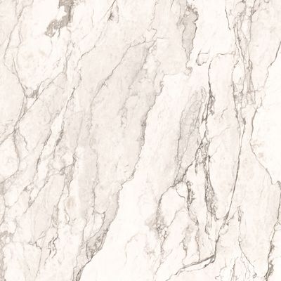 Bohemia Camouflage Polished