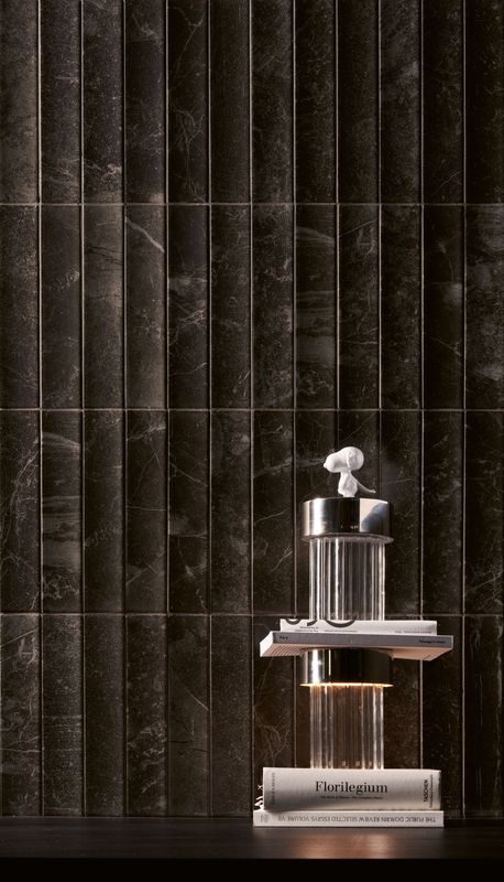 Harmonia Mr Black 