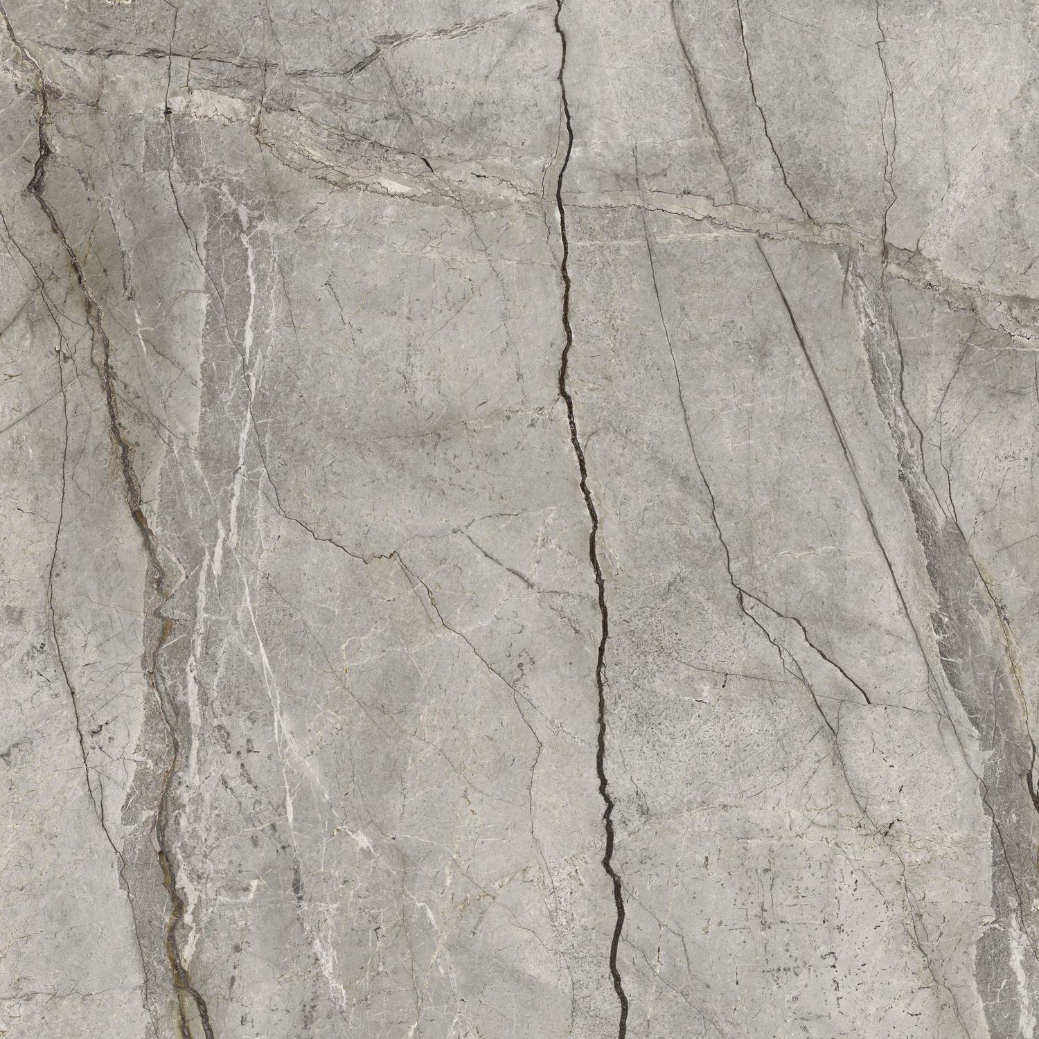 Veina Grey Gris