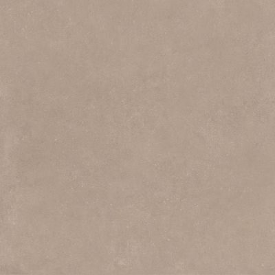 Clay Taupe Matt R10 PTV36+