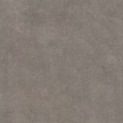 Flecked Black Matt R10 PTV36+
