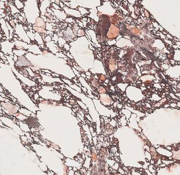 Alablanche Capria Matt PTV36+ (3D Vein)