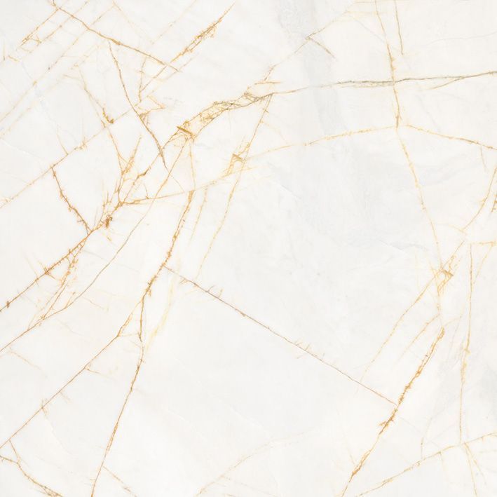 Stonelab Golden Spider Matt R10 PTV36+