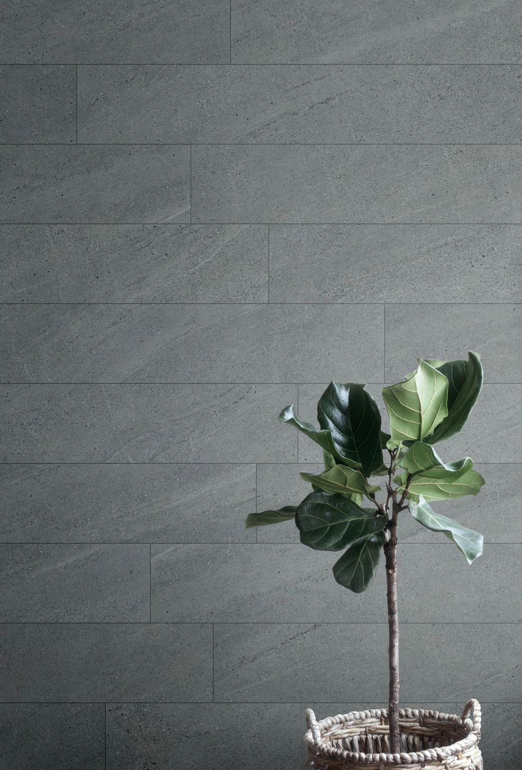 Burlow Grey Matt R10 PTV36+