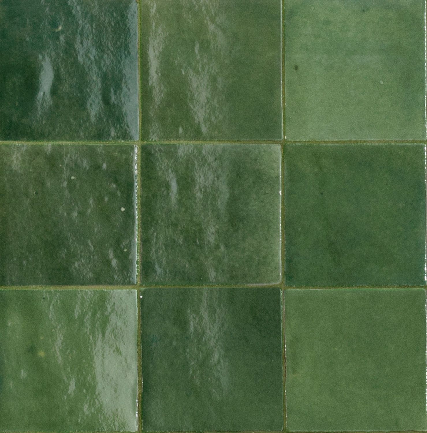 Fez Bosco Gloss 100x100