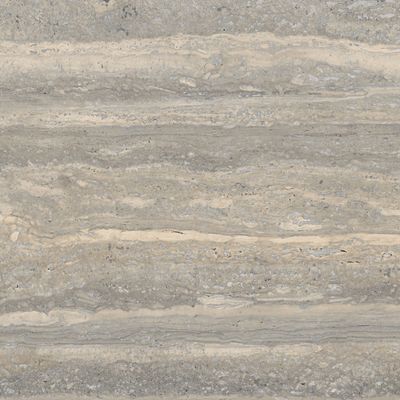 Palatina Silver Matt R10 PTV36+