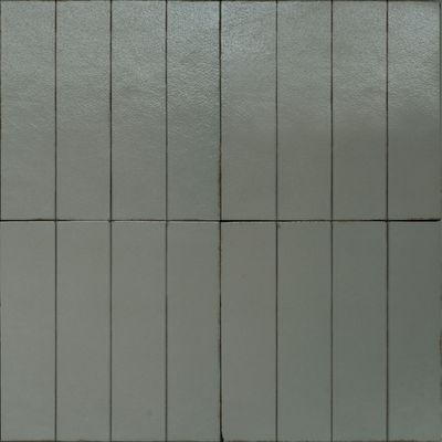 Lozena Flat Lichene