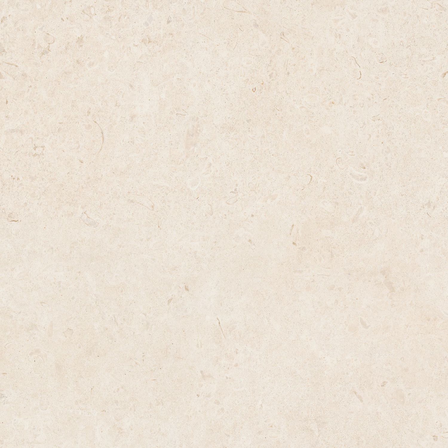 Raw Blanco Natural R10 Matt PTV36+
