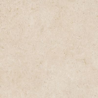 Raw Arena Natural R10 Matt PTV36+