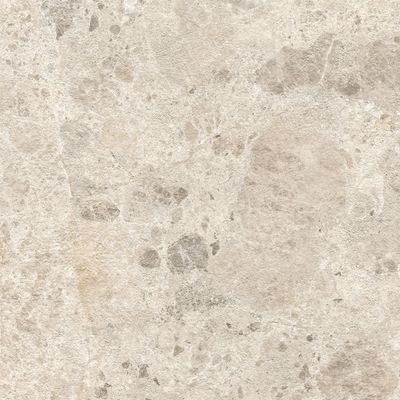 Raw Multi Beige Aged R10 Matt PTV36+