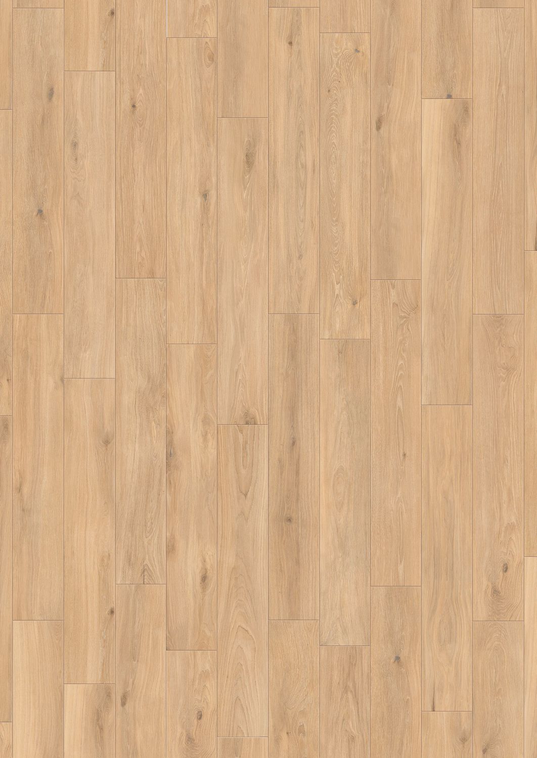 Forli Glee Forli Glee