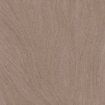 Scribe Brown Matt PTV36+