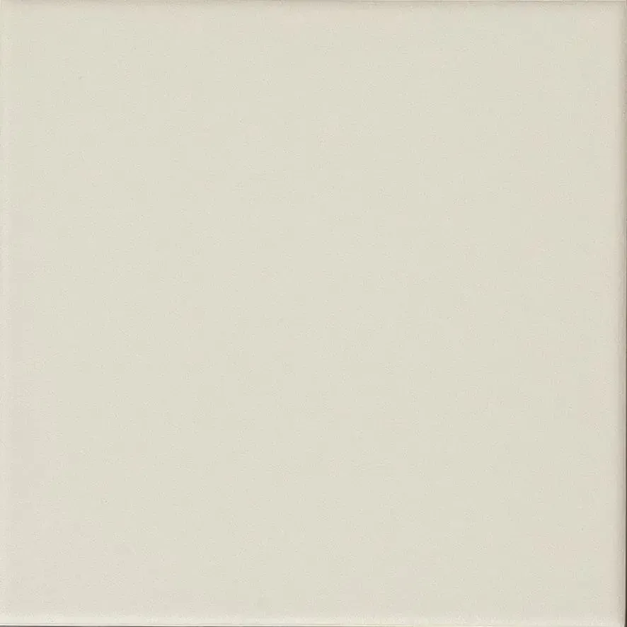 Palma Bone Palma Bone