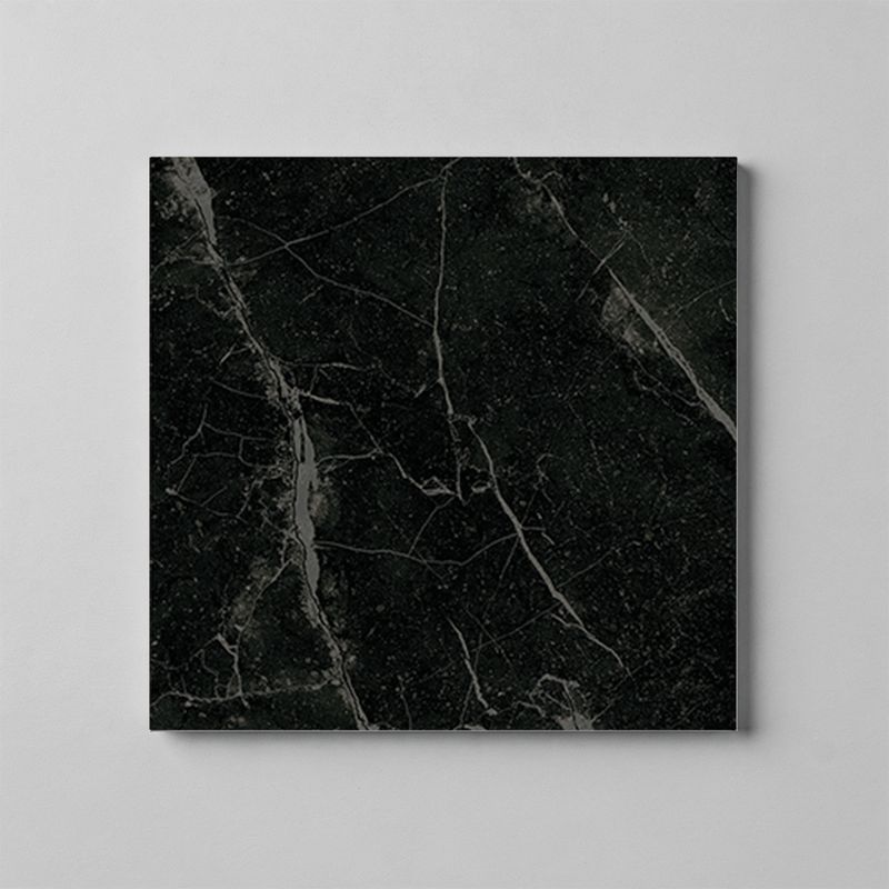 Harmonia Black R10 PTV36+