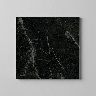 Harmonia Black R10 PTV36+