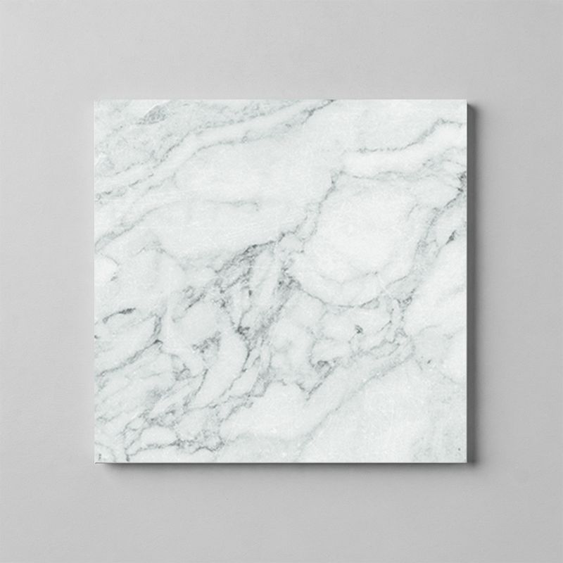 Harmonia White R10 PTV36+