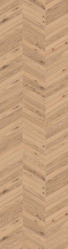 Chevrolution Timber Dorato Matt R9 PTV36+