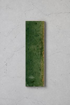 Salerno Verde Gloss 240x60