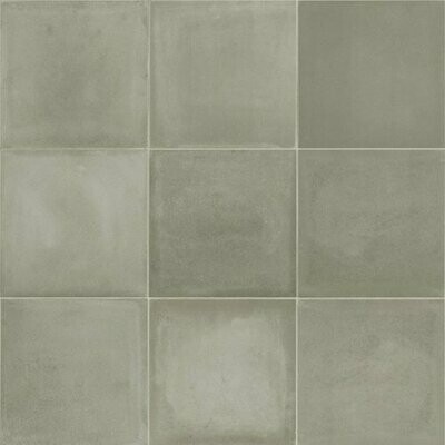 Paris Gris Matt R10