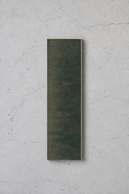 Salerno Rainforest Gloss 240x60