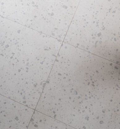 Terraporca Pure Blanco Matt R10 PTV36+