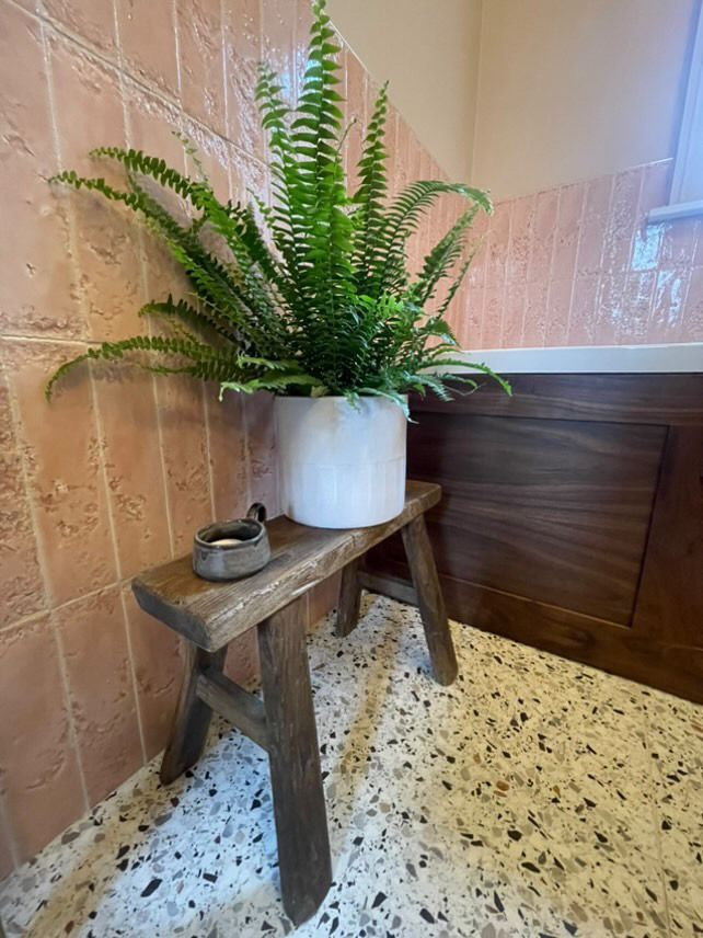 Bari Pale Rose Bari Pale Rose