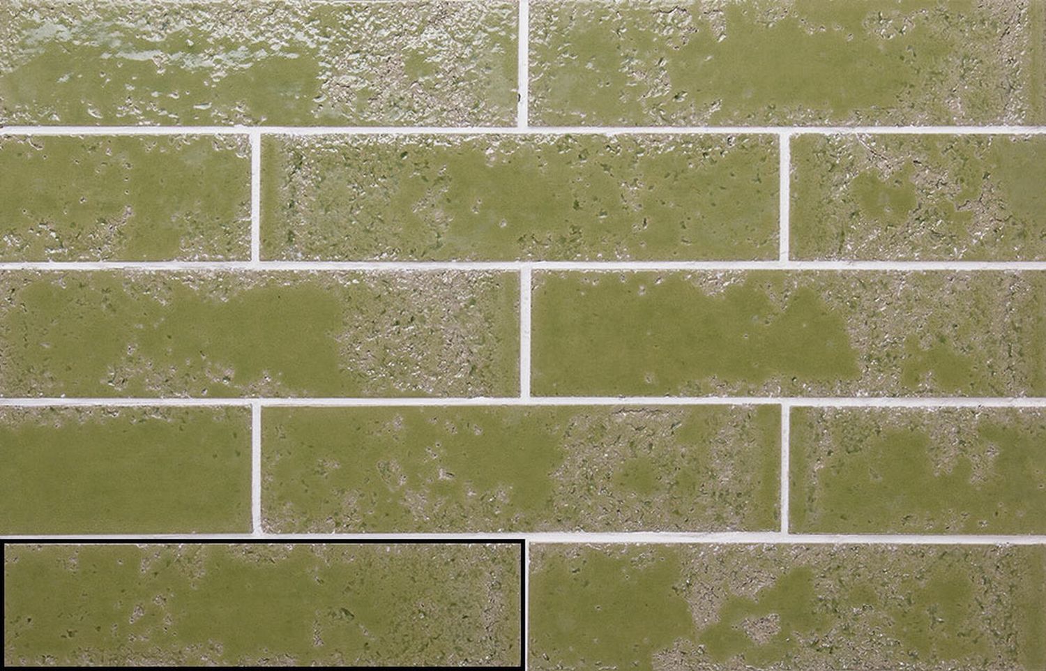 Bari Moss Green Bari Moss Green