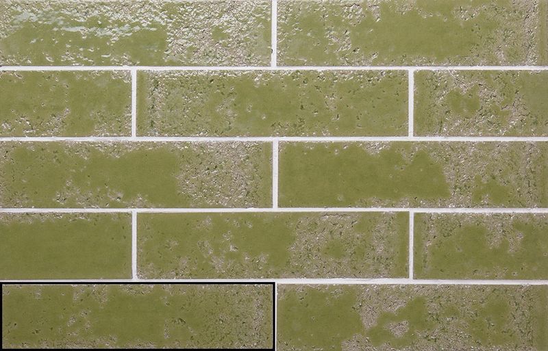 Bari Moss Green