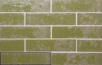 Bari Moss Green
