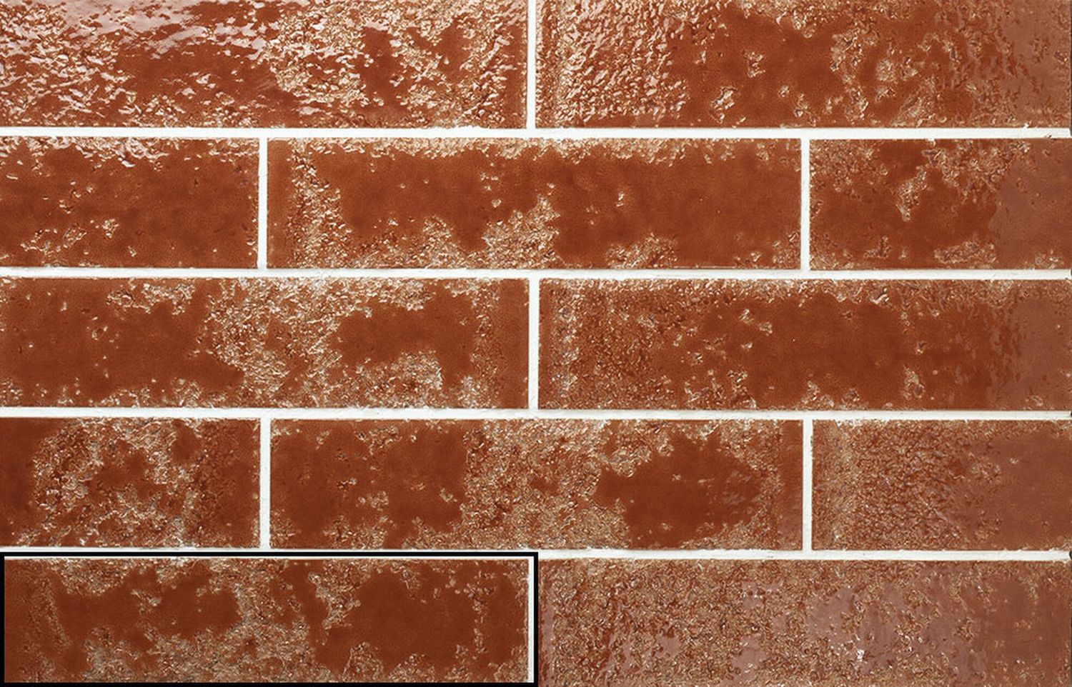 Bari Savanna Bari Savanna