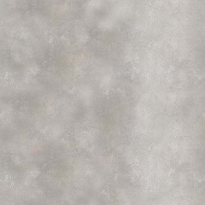 Toronto Silver Matt R10 PTV36+