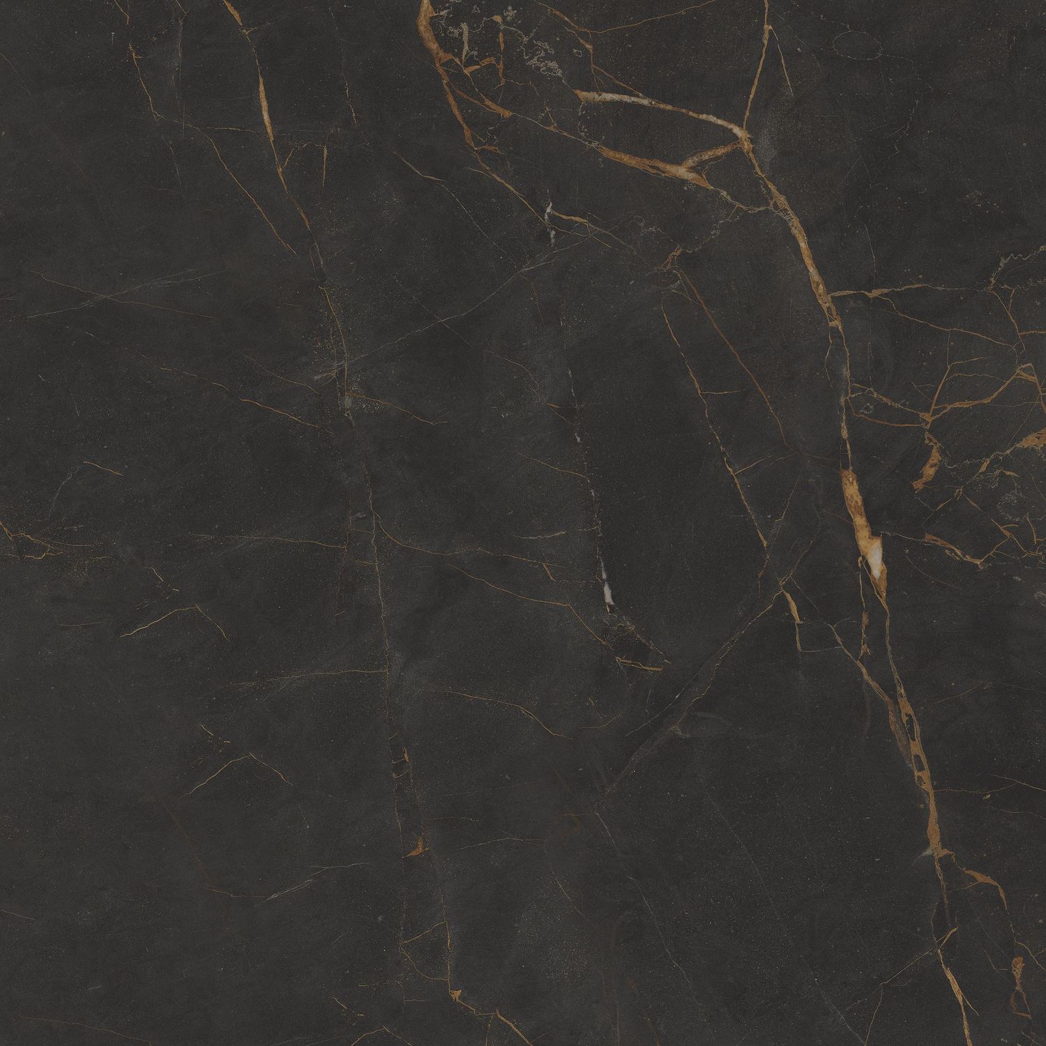 Bohemia Galaxia Polished Bohemia Galaxia Polished