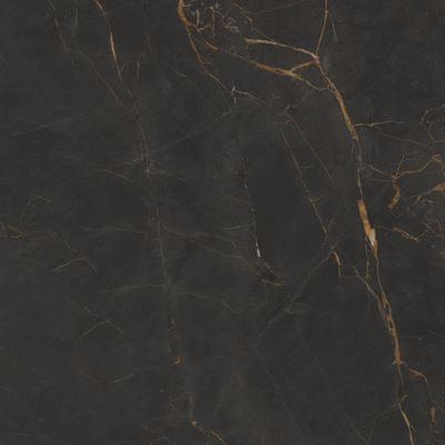 Bohemia Galaxia Polished Bohemia Galaxia Polished