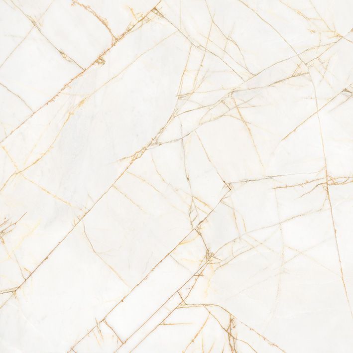 Stonelab Golden Spider Matt R10 PTV36+