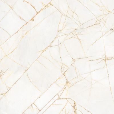 Stonelab Golden Spider Matt R10 PTV36+