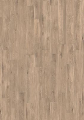 Forli Ease R9 PTV36+