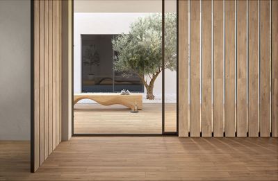 Forli Joy R9 PTV36+
