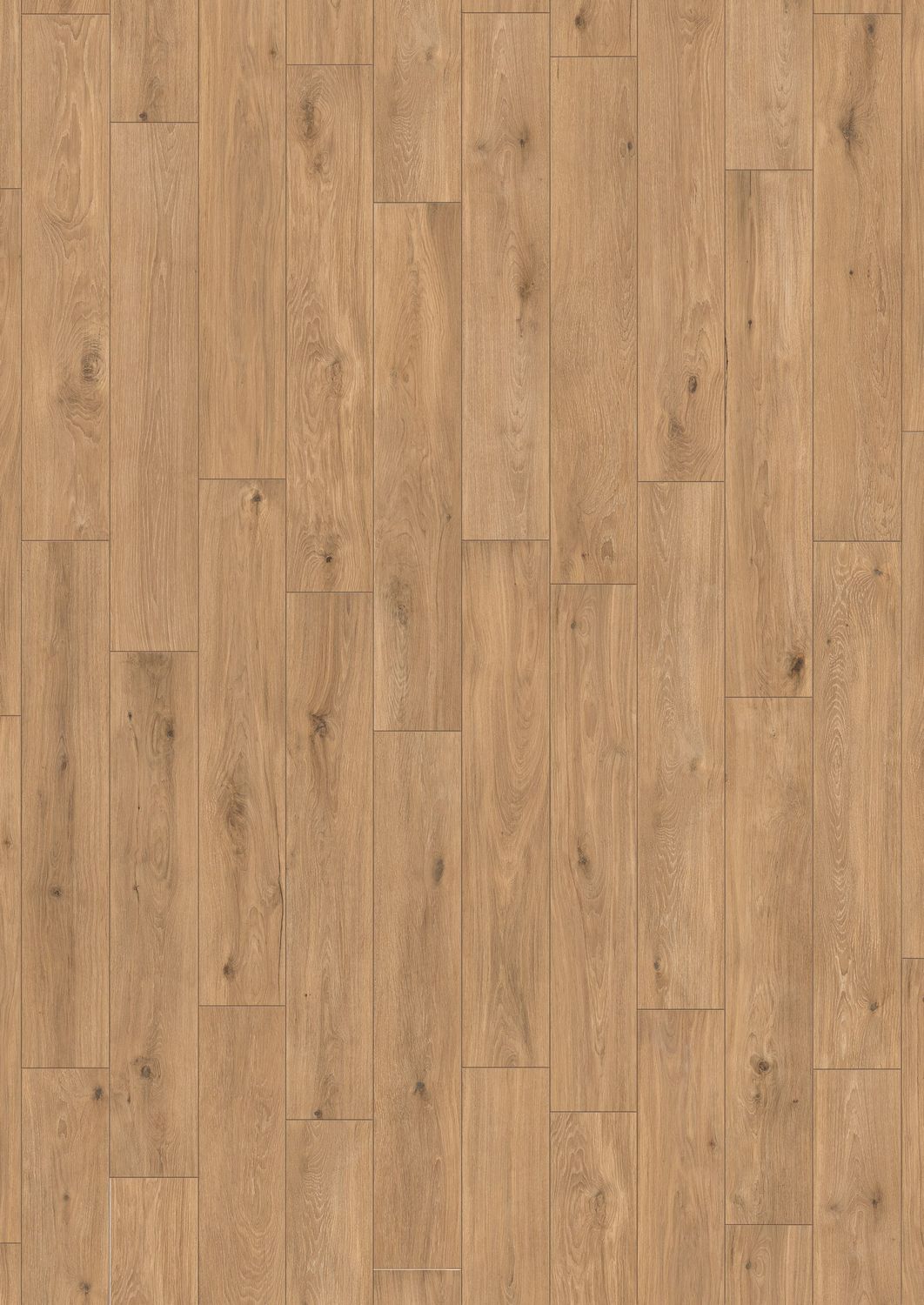 Forli Joy R9 PTV36+ Forli Joy R9 PTV36+