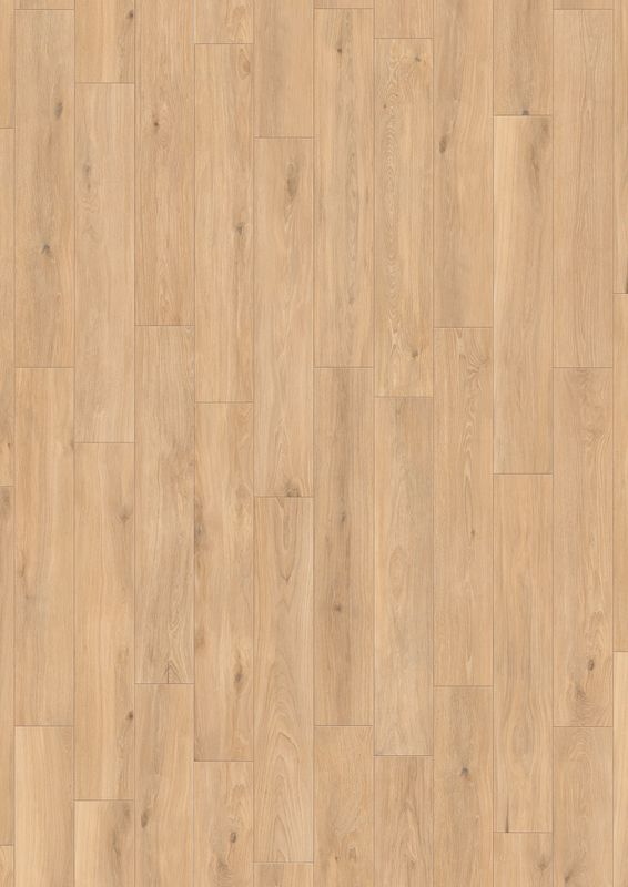 Forli Glee R9 PTV36+