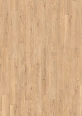 Forli Glee R9 PTV36+