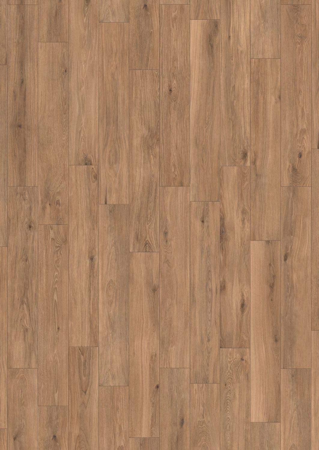 Forli Peace R9 PTV36+ Forli Peace R9 PTV36+