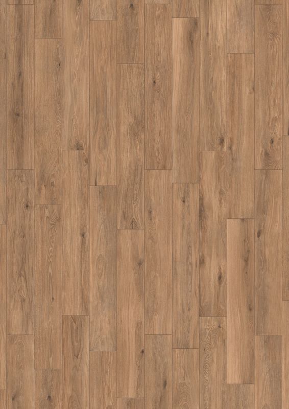 Forli Peace R9 PTV36+