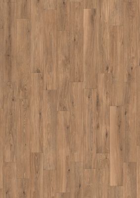 Forli Peace R9 PTV36+