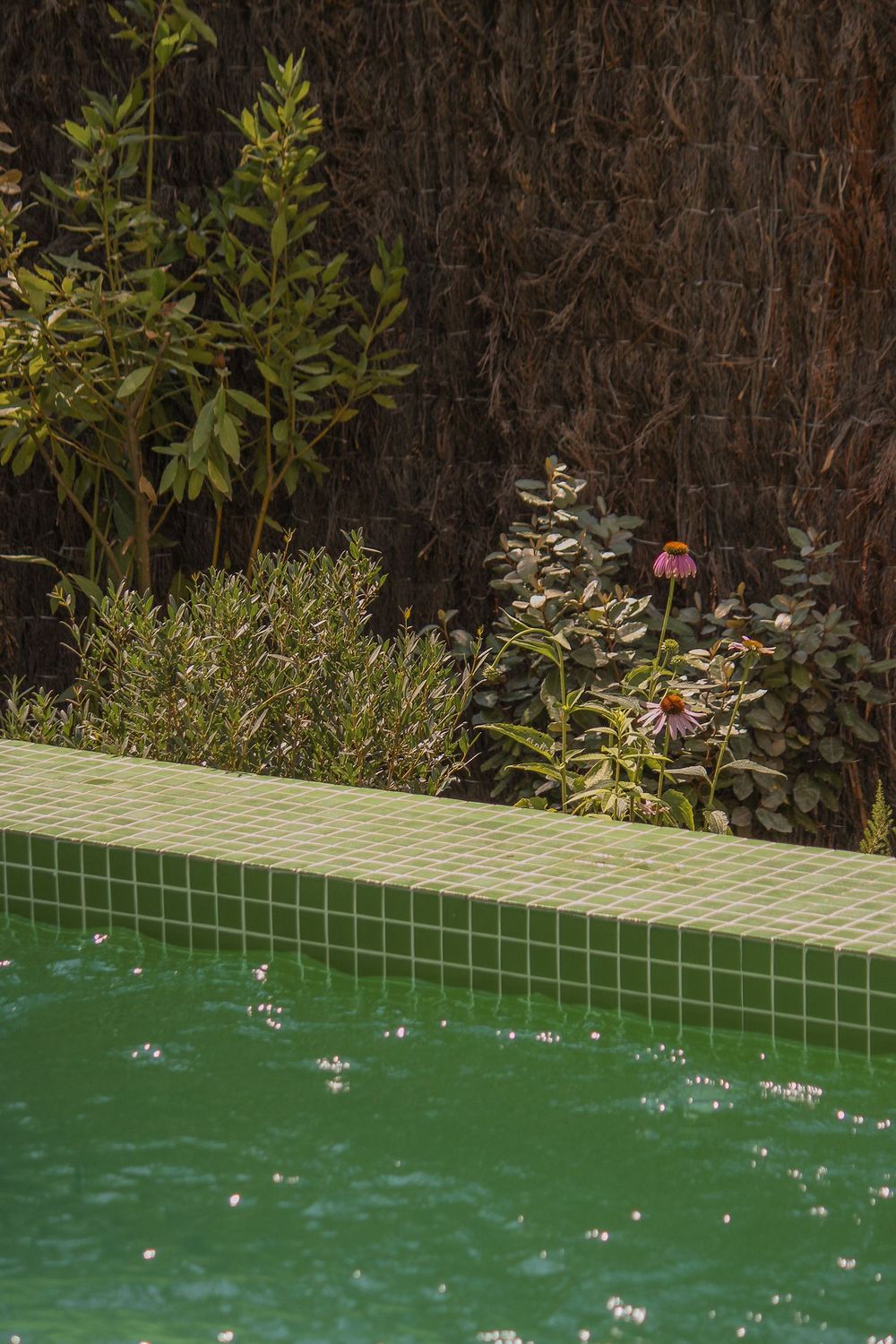 Mosaic Studio 221 Gloss