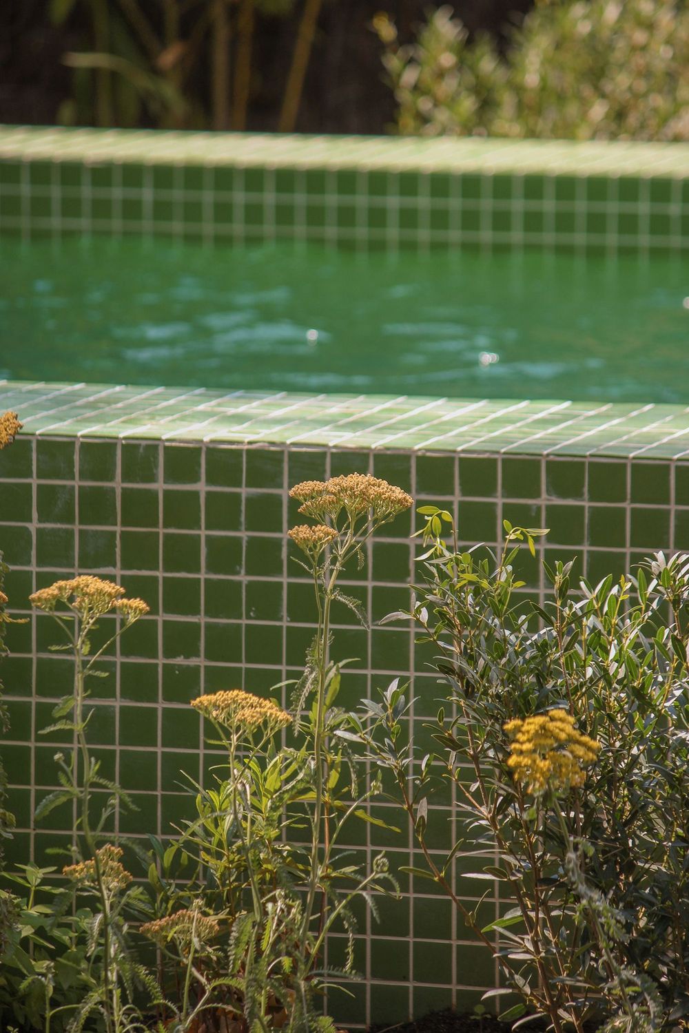 Mosaic Studio 221 Gloss