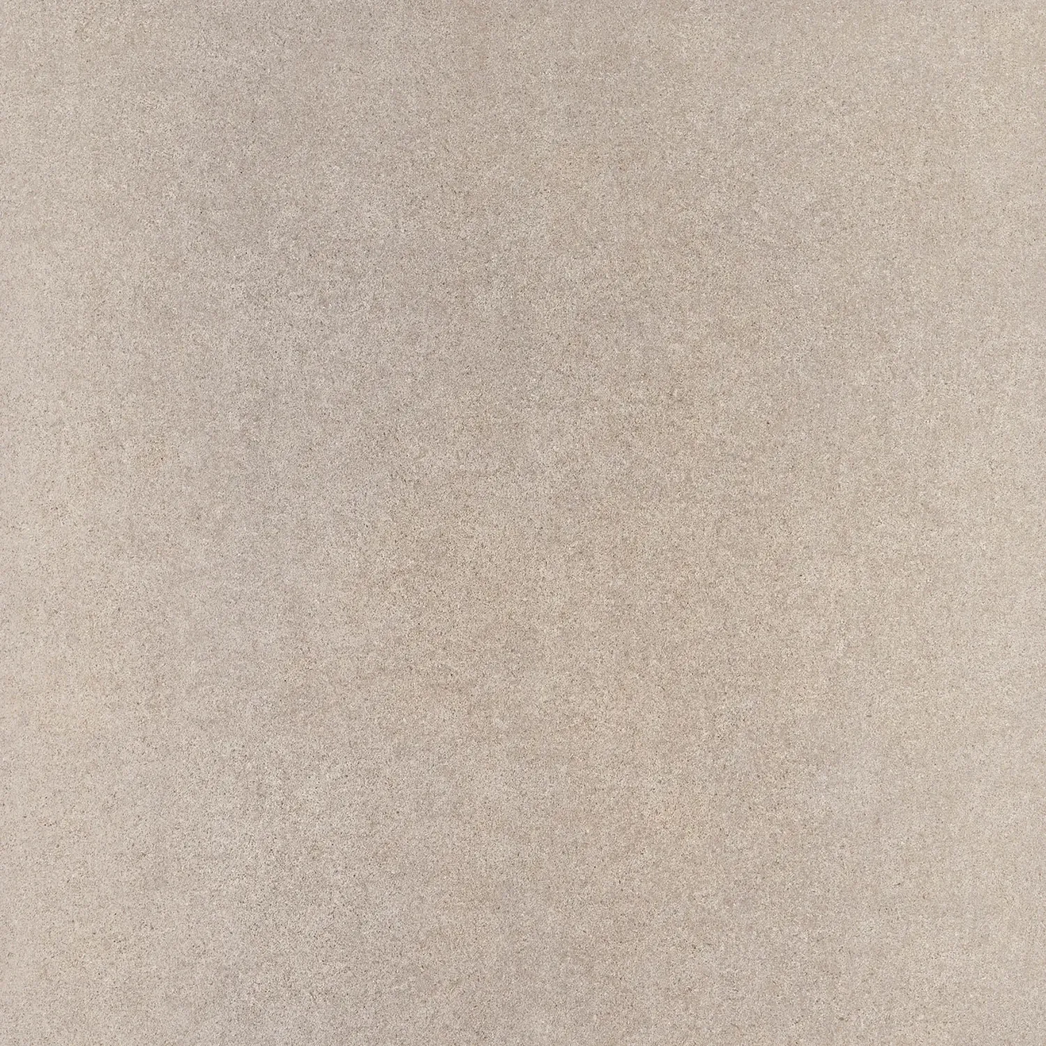 Crucial Taupe PTV 36+