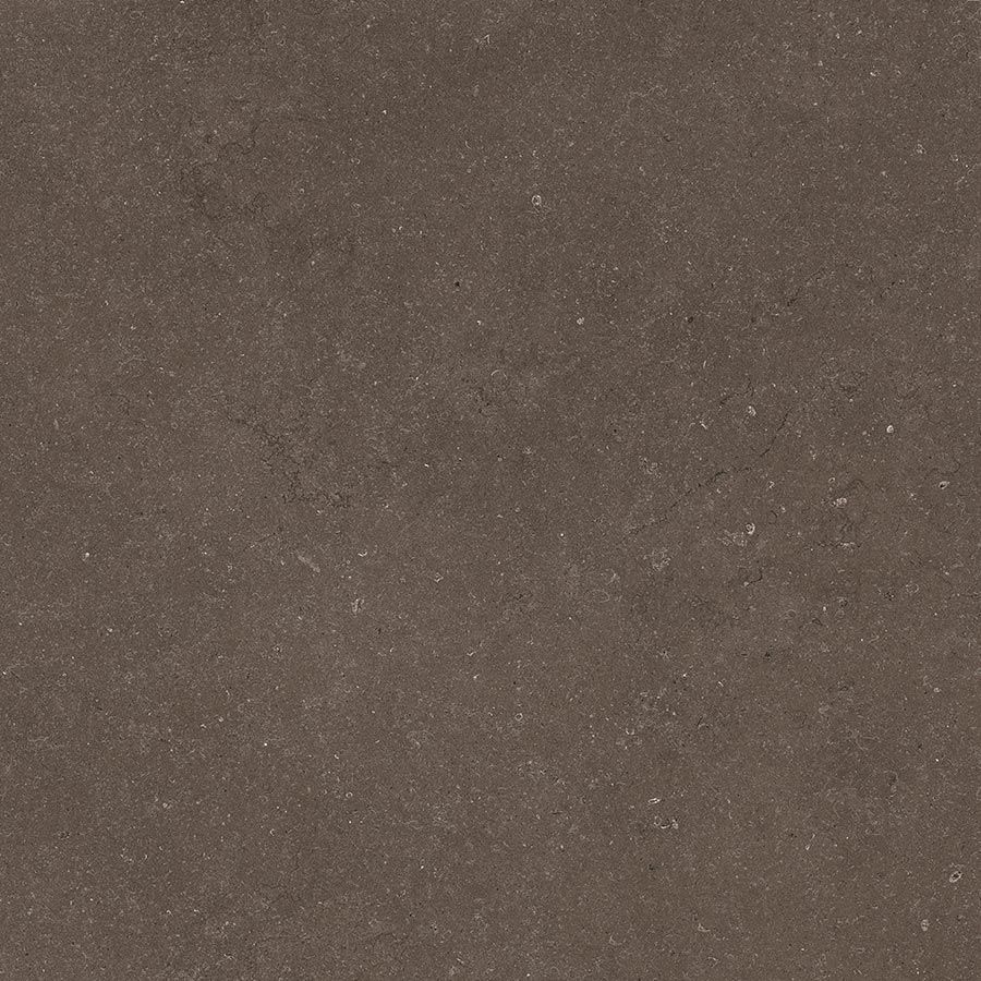 Dijon Dark Brown Stone Dijon Dark Brown Stone