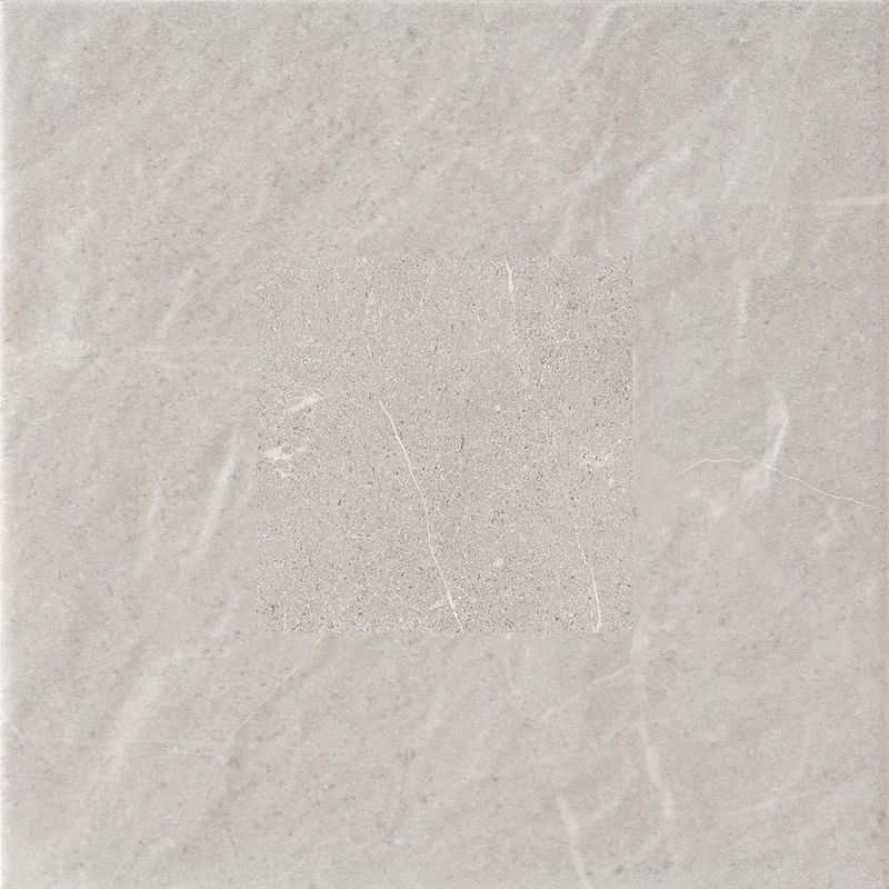 Ice Plain Ash